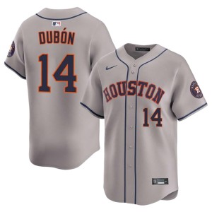 Mauricio Dubon #14 Gray Astros Embroidery Mens Jerseys 217599-421