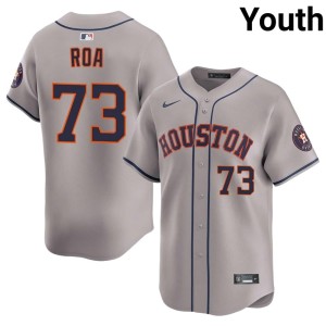 Christian Roa Gray MLB #73 Houston Astros Youth Jerseys 306840-320